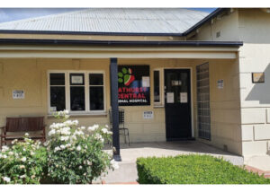 BathurstCentralAnimalHospital-Bathurst-NSW