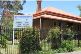 CanobolasFamilyPetHospital-Orange-NSW