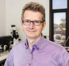 Dr Marcin Stankiewicz