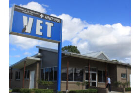 MayfieldVeterinaryHospital-Newcastle-NSW