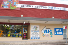 MountHuttonPetHospital-Newcastle-NSW