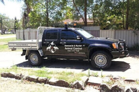 NewcastleHunterAnimalControl-Newcastle-NSW