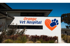 OrangeVeterinaryHospital-Orange-NSW