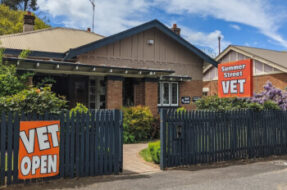 SummerStreetVetClinic-Orange-NSW