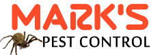 logo-1