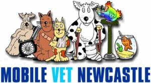 mobilevet-white-bg_2