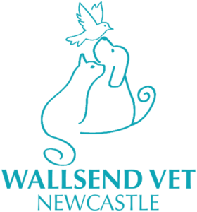 newcastlevet-blue